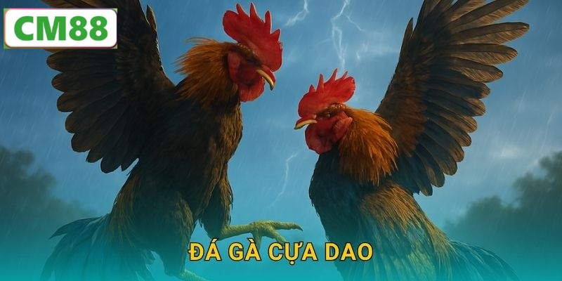 Cách chơi và đặt cược đá gà cựa dao online