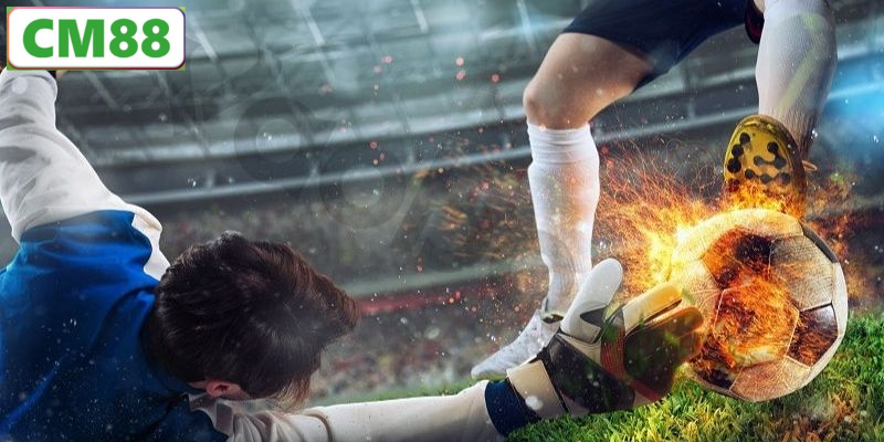 Kinh nghiệm soi kèo rung từ cao thủ